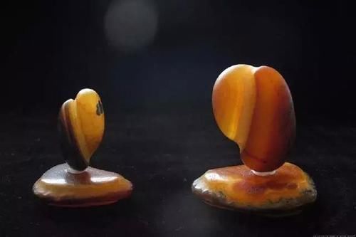 石头|这种石头堪比翡翠,五年时间升值万倍,随便一块可以换套房