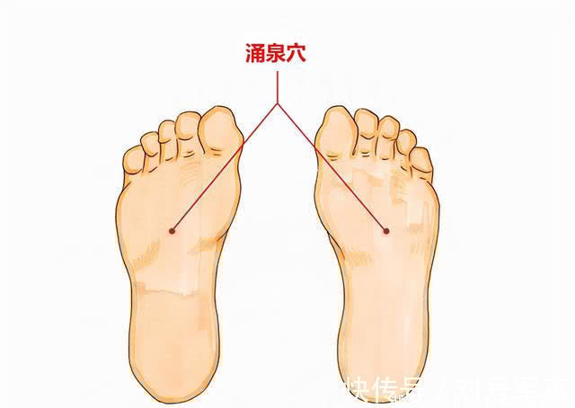 桂圆肉|10月吃龙眼,顶过老母鸡!龙眼这样用,气血足、睡眠好、脾胃强