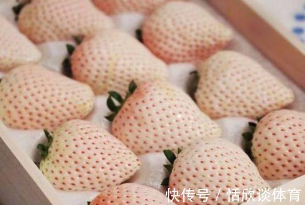 心术不正|“心术不正”的孩子,从小就有3个毛病,12岁前不改正就迟了