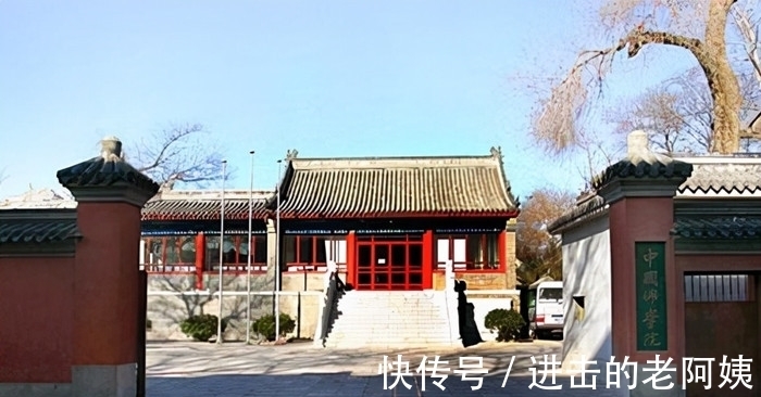 出家&“中国最帅和尚”释明心:放弃他人眼中的好生活,为何偏要出家?