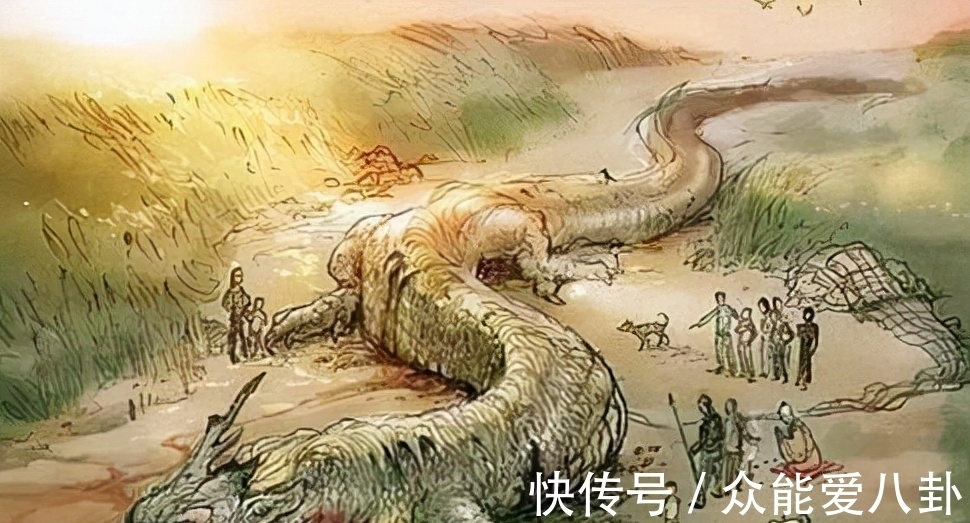 中华文化#《山海经》唯一吃过龙肉的人,若你是这些姓之一,可能是他的后人