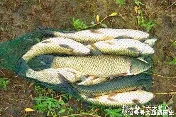 滑漂钓组|滑漂钓法钓组搭配方法，夏季带漂远投钓大鱼，野钓最实用钓法