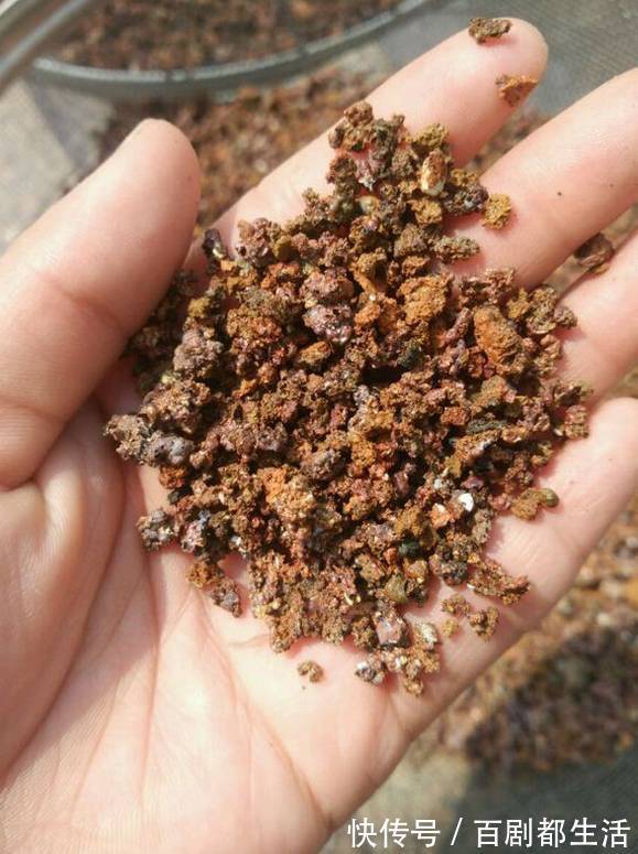 养花必备“排水物”,解决养花人的大难题!