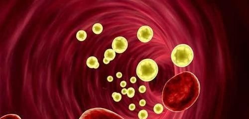 降血脂|降血脂有这“6宝”，每天吃两口，能让血液通畅，血管更健康