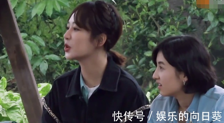 聊天|杨紫透露爱看《向往》，却喊错小H名字，跟黄磊彭彭聊天还露馅了！