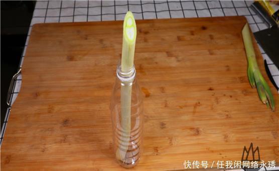 大葱|保存大葱时，放地上就错了，大厨教你一招，保存半年跟新鲜一样