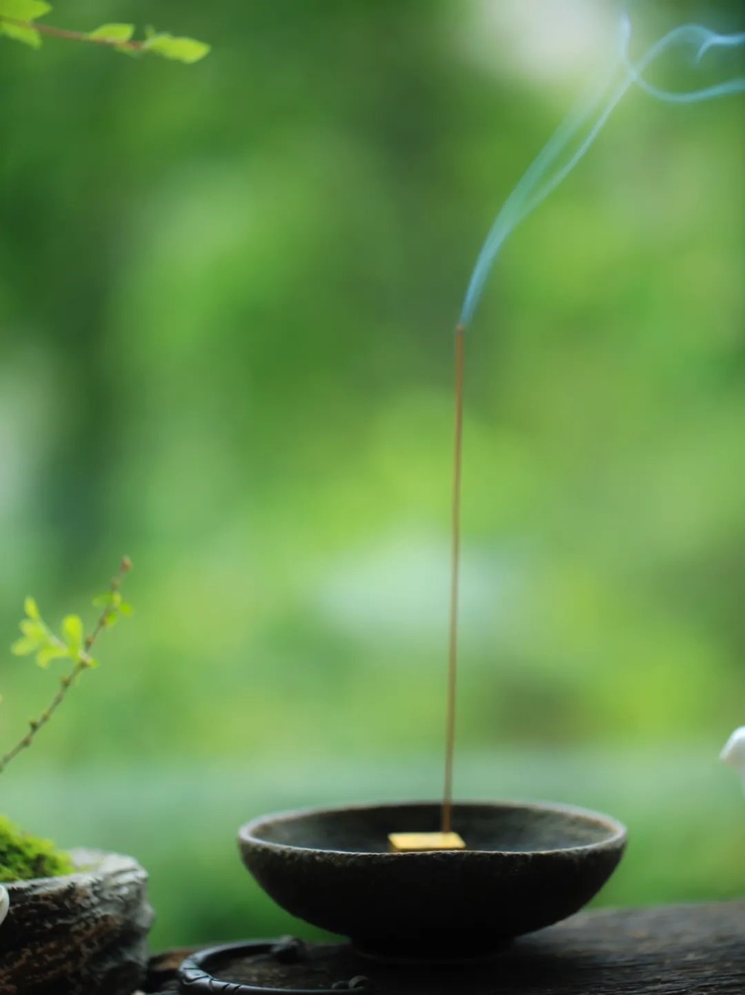 岁月|9首诗词叹流年：最是人间留不住，朱颜辞镜花辞树