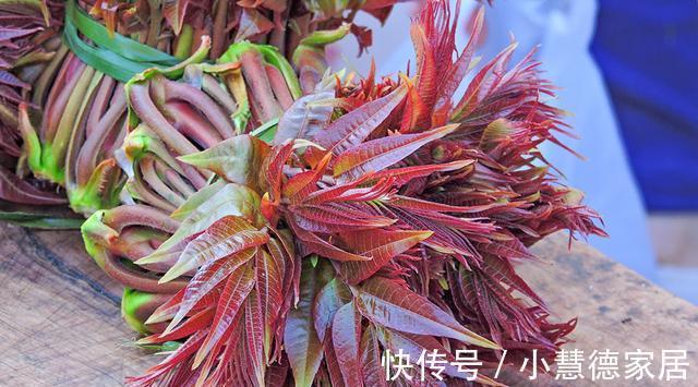 香椿炒鸡蛋|香椿焯水引争议,到底需不需要焯水呢?大厨来告诉你,可别做错了