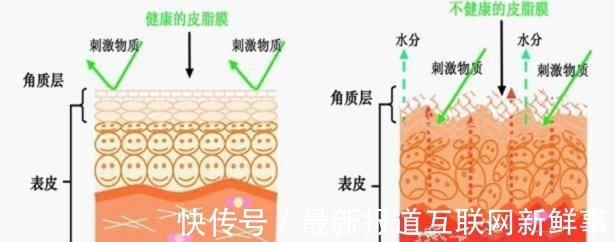 保湿 补水保湿，选对护肤品，让你皮肤水当当~！