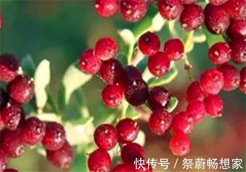 生菜|女性想要身体好，多吃4种食物，排出湿气、润肠通便，帮助消水肿