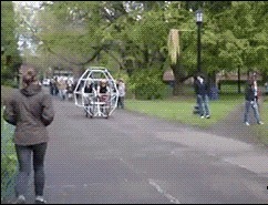 |搞笑GIF:表妹担心有人偷竹子,她每天一个人去后山点数!