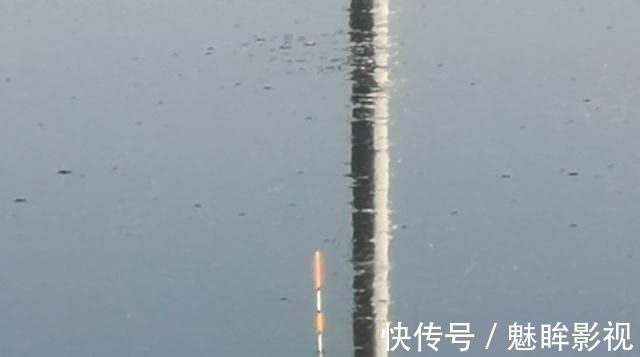 鲫鱼|都知道钓鲫鱼要找水草,但很多人忽略了第二步,难怪不上鱼!