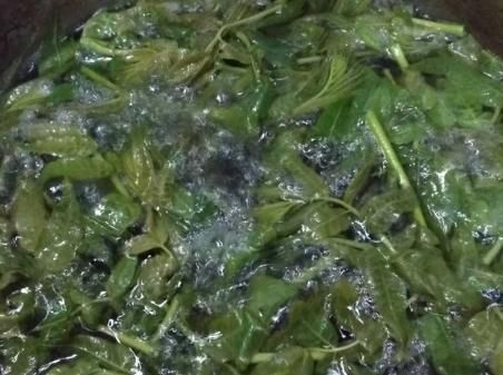 腌香椿,香椿要不要焯水?十几年老方法教给你,放一年都脆嫩鲜香