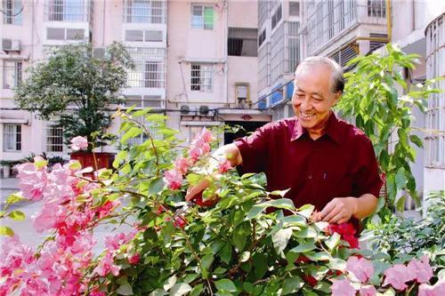 一茬花|用的“养花口诀”，学会了你也能养好花，收藏了！