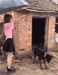 |搞笑GIF趣图:不要问我为什么,以后找女朋友一定要看素颜