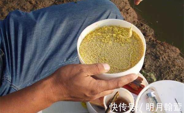 颗粒|野钓大鱼用饵技巧，对比蘸米钓和麻团钓，用这几招，小鱼群钓大鱼