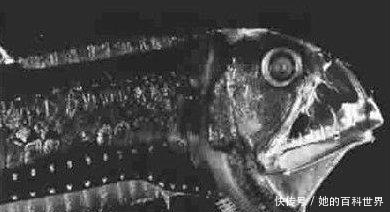 人类首次进入地球11034米深处,到底看到什么吓得他们差点掉!