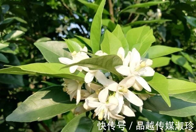 养生术|“不恋一更食,莫贪三更色,不动五更气”,老祖宗养生术值得一看