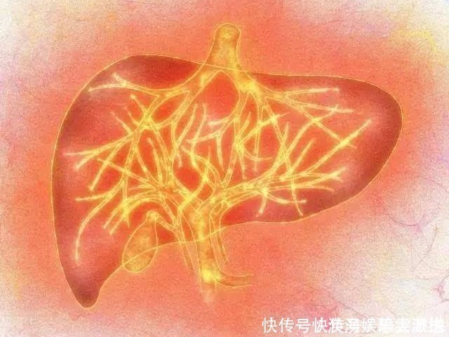 神农本草经|一朵美丽的花，竟然是“去火”第一药，可清除五脏之火