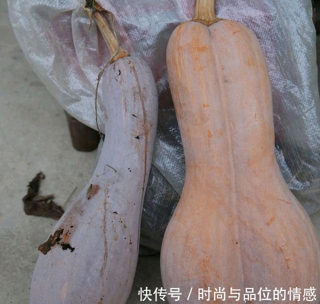 一道南瓜饼,解决了家里吃不完的南瓜,隔三差五来一餐,真好吃