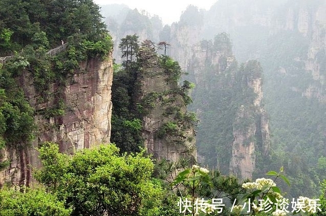 景区|张家界这处景区走红，被称为野生动物的乐园，距市中心30公里