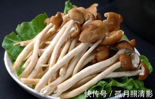 炖鸡汤|女人想身体健康,推荐吃的食物,补益身体,促进消化,预防炎症