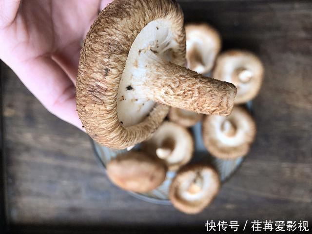 香菇用清水洗，还不如不洗，教你一招，脏物虫卵洗干净，吃得放心