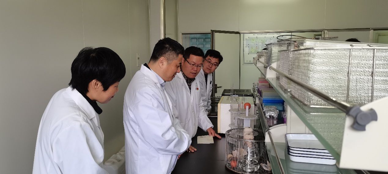 检验检测中心|?祝贺!临沂市检验检测中心顺利通过药品CNAS复评审