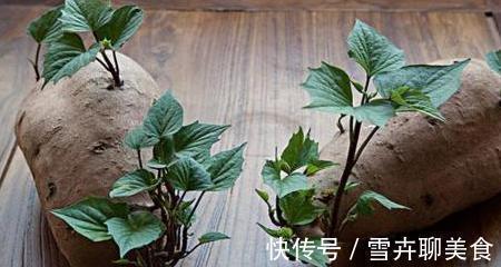 黄豆|发芽后的蔬菜必须要扔掉，唯有这两种一定不要扔，而且还要“多吃”