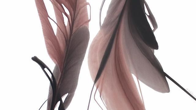 乌克兰|乌克兰艺术家安东·索科洛夫的水、彩画