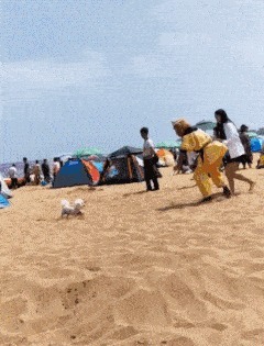 |搞笑GIF:今天给大家来个街头篮球, 是不是感觉很炫酷的样子?