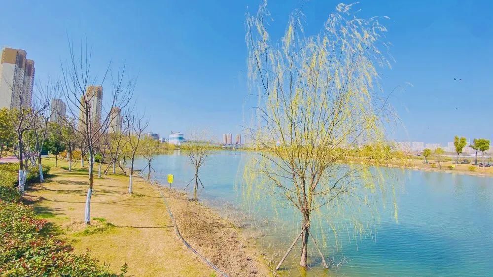 老年|春暖花开!阜城第一波春色来啦~