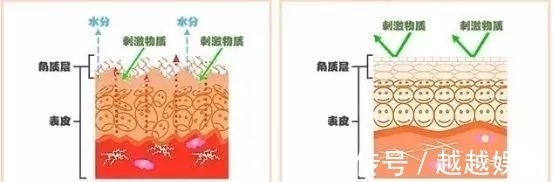 肤质 护肤品没少用,但是皮肤越来越差?认清肤质才是护肤的关键!