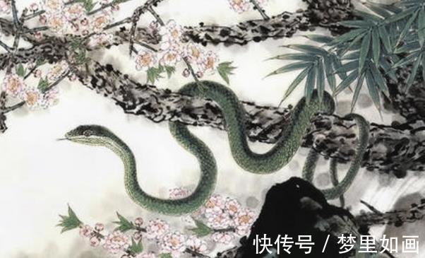 人生肖|2021年生肖蛇的最佳合作伙伴有谁生肖鸡上榜,看看有你吗