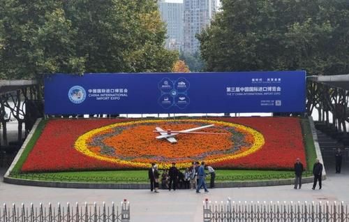 芦苇|梧桐叶黄芦苇白，大片红叶地肤也换上了新装，申城最美秋景渐行渐近