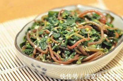 马齿苋|在客厅养一盆“它”,能够处理“白发”困扰,白头偷偷长出黑发!