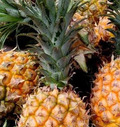 排毒|女性到40岁,坚持吃四种食物,早吃早好,排毒刮油,排毒又养颜