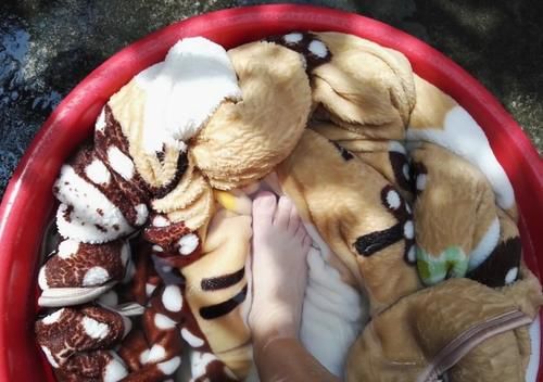  毛毯|听说，你家里也有一床没咋洗过的花毛毯？