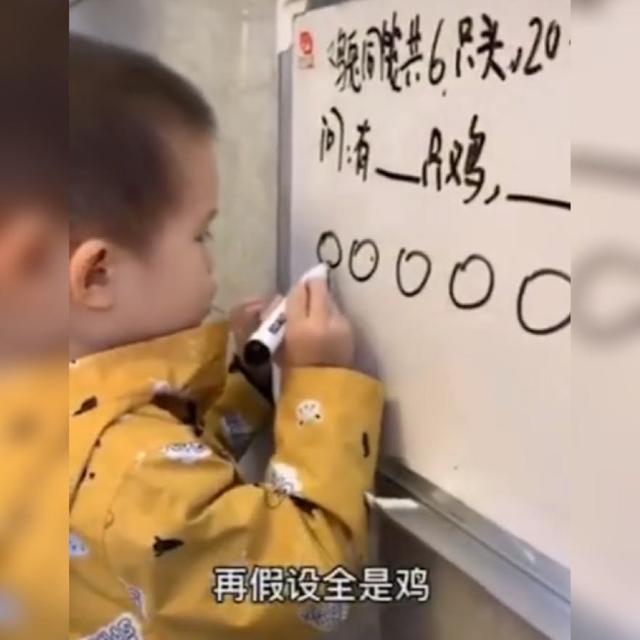 男童|3岁男童妙解“鸡兔同笼”问题获高赞,网友这都是别人家的娃