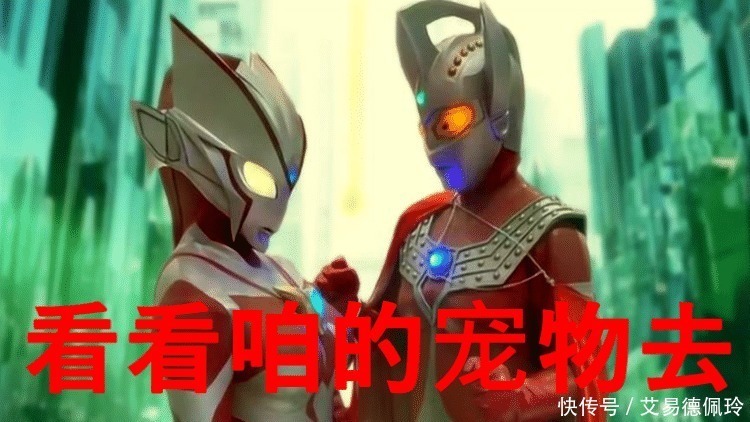 宠物|盘点那些养怪兽的奥特曼,雷欧的宠物会打人,他的宠物有三个!