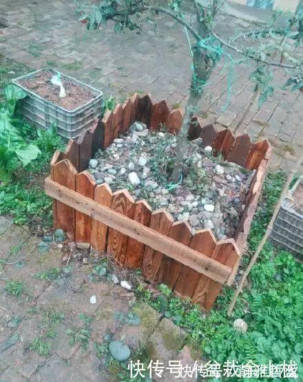 买的花盆又贵又难看?花花教你自制花盆,省钱又漂亮!