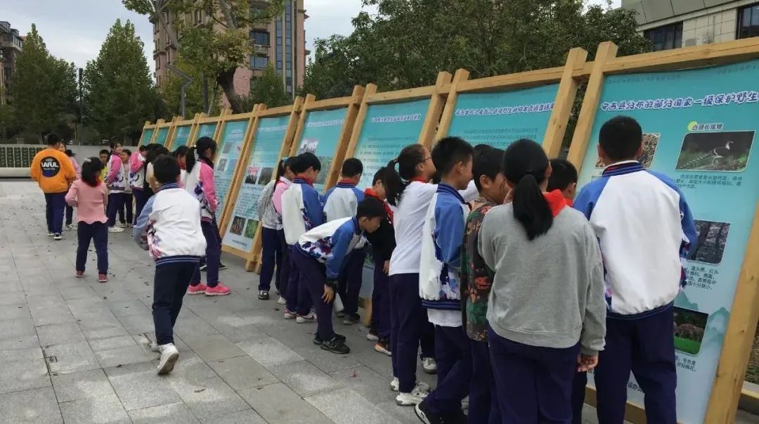 中小学|2个月，4.7万名学生，干了这件有意义的事……