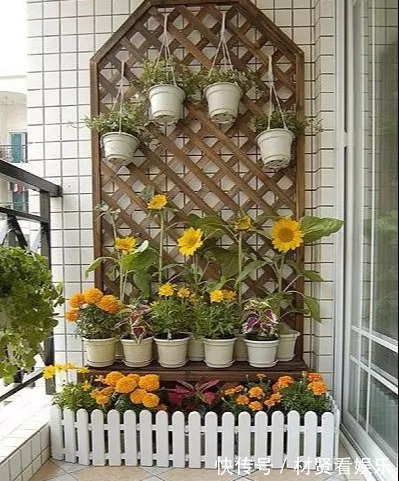 阳台上|这才是我想要的阳台!种满花,有一个小憩的地方