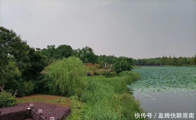 景点|独墅湖生态公园，闹市中的一块桃源