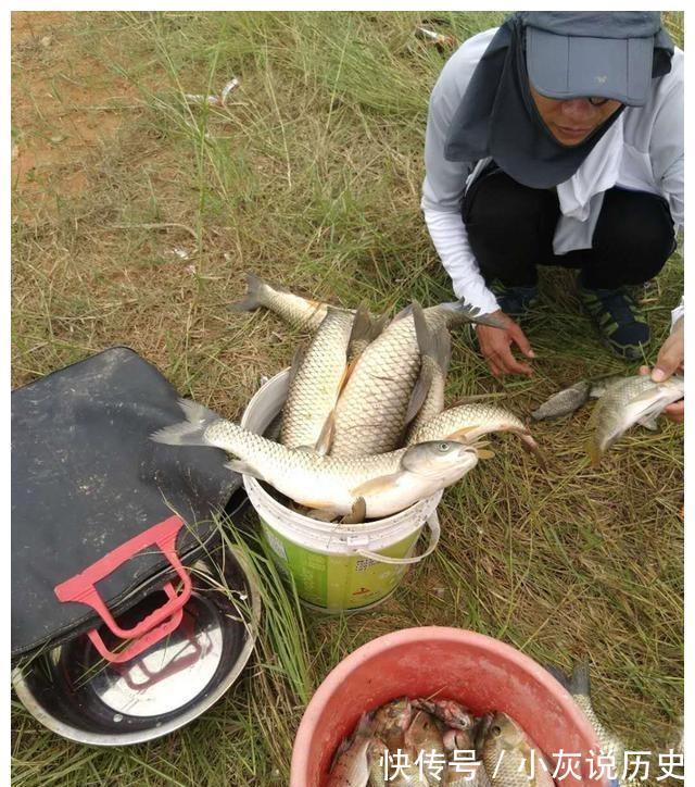 办法|野钓渔获多少钓技术说了不算,密度才是决定性因素,有办法提高