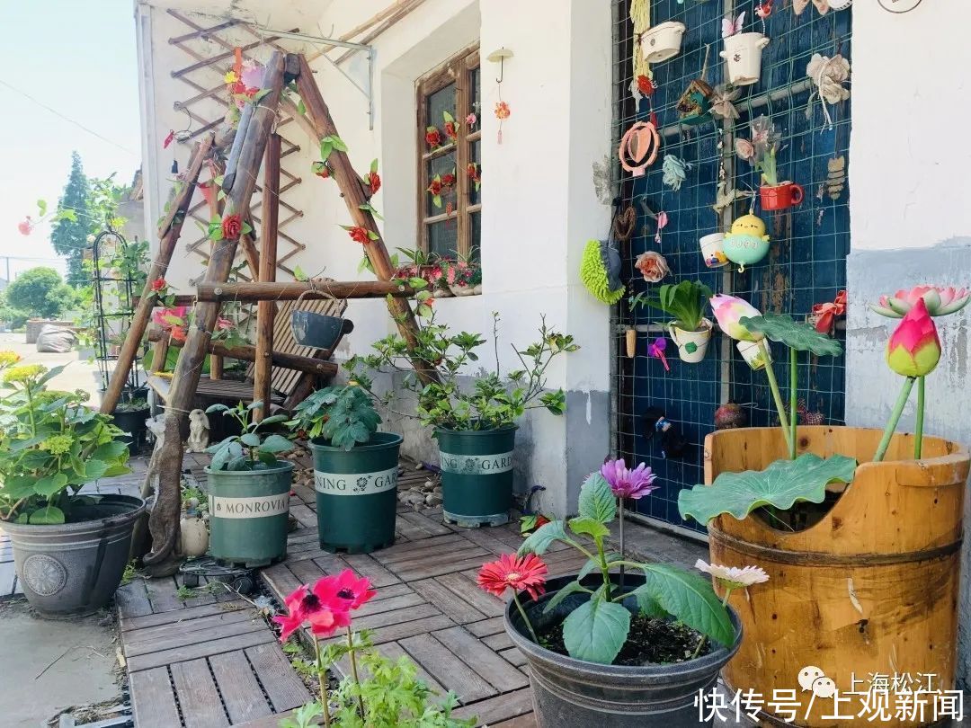 院子|这样的小院，谁不爱？