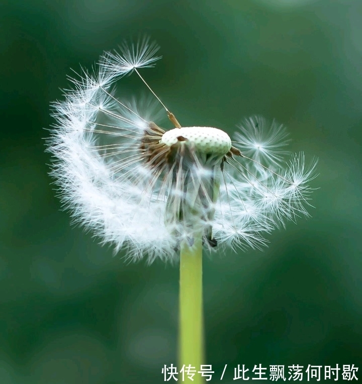 水瓶座|有“洁癖”的星座，要么高傲地单身，要么为一人专情