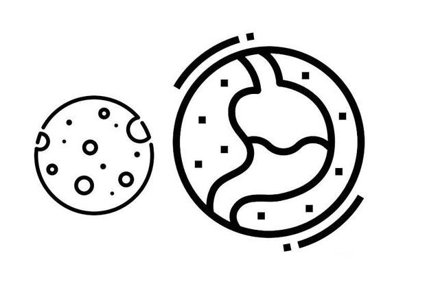 胆汁|不吃早餐,身体会抱恙?说实话:除了低血糖,3个危害避免不了