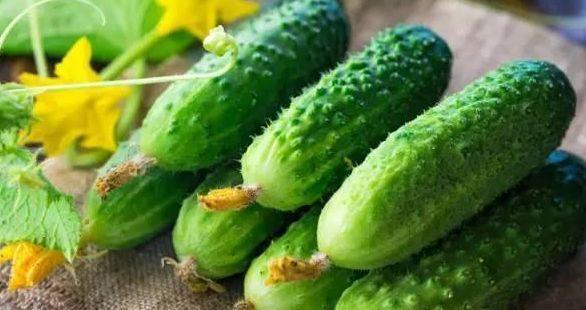 谷胺酰胺|夏日吃黄瓜,药物不用抓,黄瓜好处多多,然而以下人不能吃