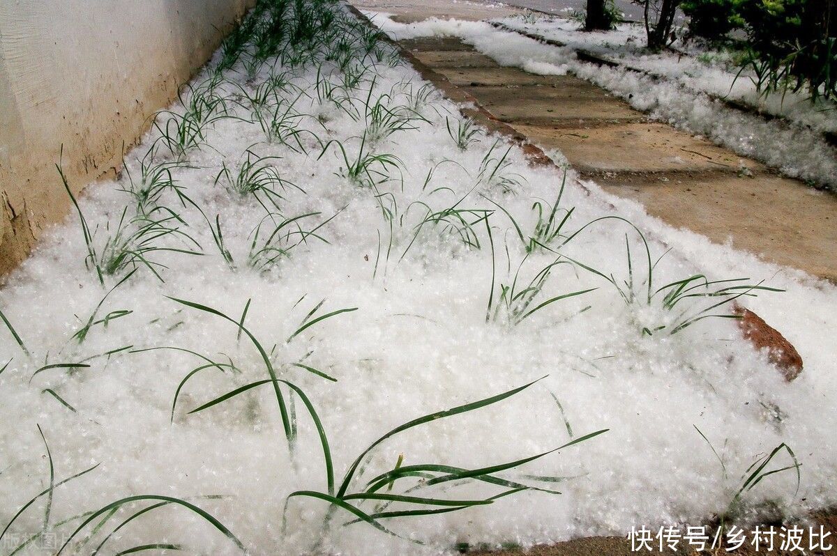  大雪|冬至将至，俗语“大雪年年有，不在三九在四九”，啥意思？